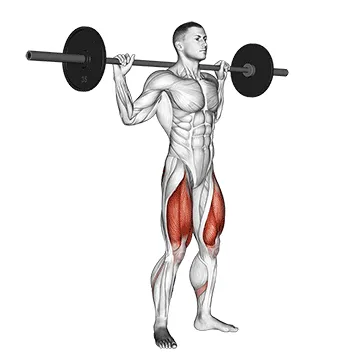 Barbell Squat exercise setup and form