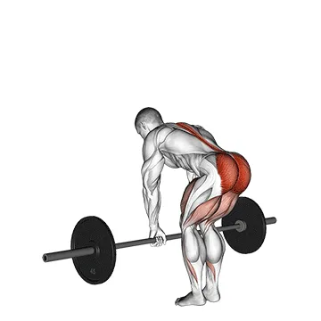 Barbell Romanian Deadlift exercise setup and form
