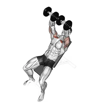 Dumbbell Incline Bench Press exercise setup and form